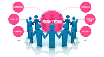 2017年国内电商的正确打开方式 转型升级与精细化经营